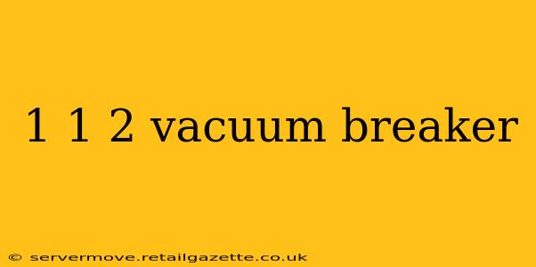 1 1 2 vacuum breaker