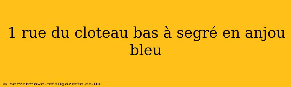 1 rue du cloteau bas à segré en anjou bleu