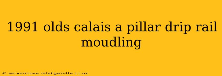1991 olds calais a pillar drip rail moudling