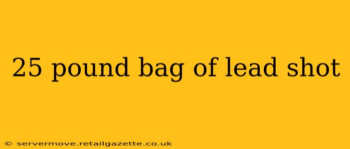 25 pound bag of lead shot