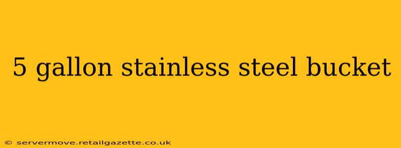 5 gallon stainless steel bucket