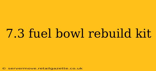 7.3 fuel bowl rebuild kit