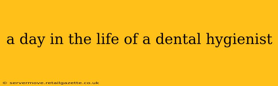 a day in the life of a dental hygienist