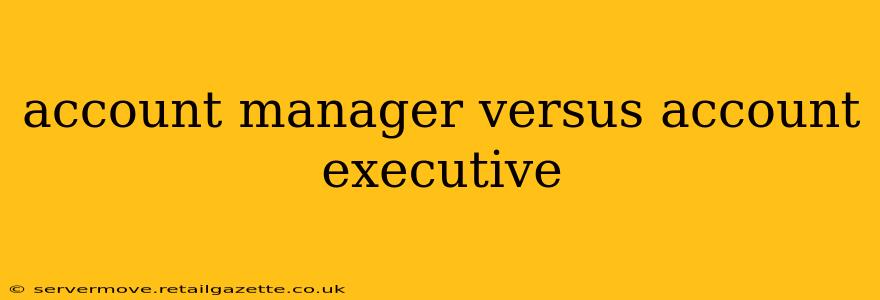 account manager versus account executive