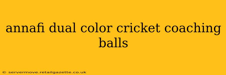 annafi dual color cricket coaching balls