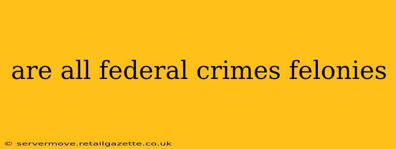are all federal crimes felonies