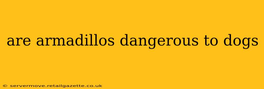 are armadillos dangerous to dogs