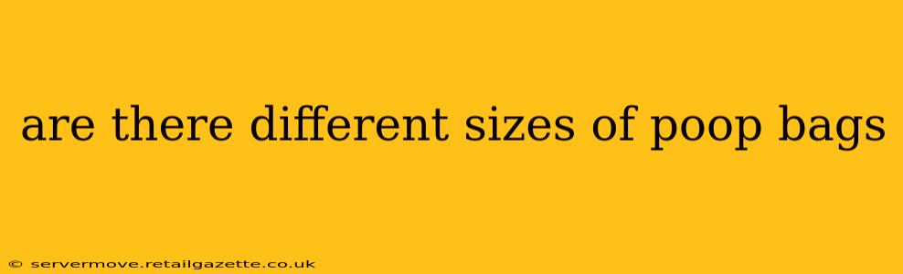 are there different sizes of poop bags