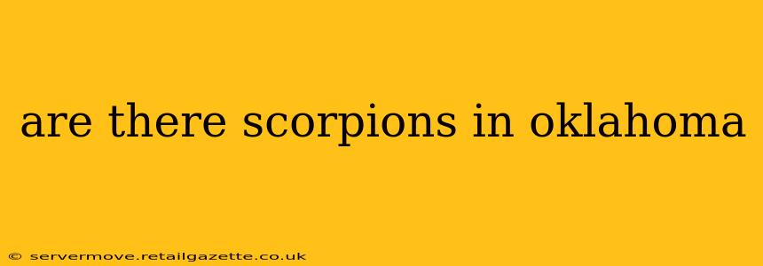 are there scorpions in oklahoma