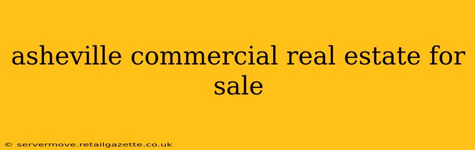 asheville commercial real estate for sale