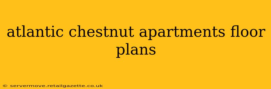 atlantic chestnut apartments floor plans