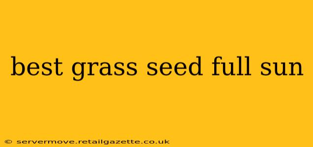 best grass seed full sun
