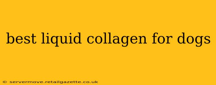 best liquid collagen for dogs