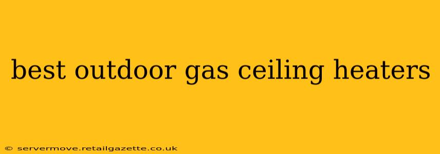 best outdoor gas ceiling heaters