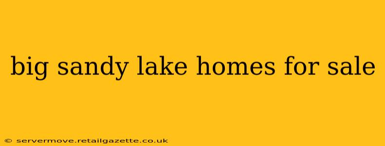 big sandy lake homes for sale