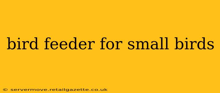 bird feeder for small birds