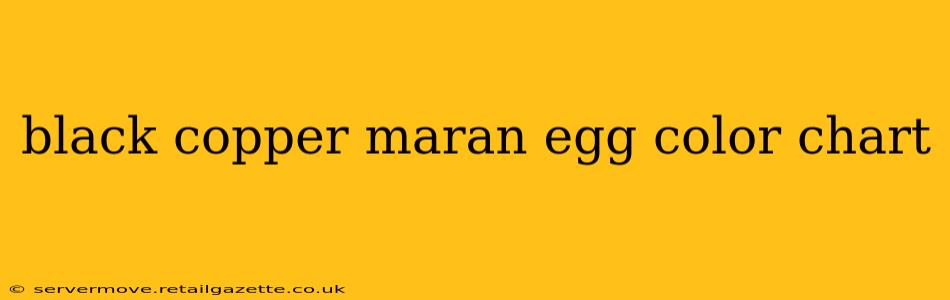 black copper maran egg color chart