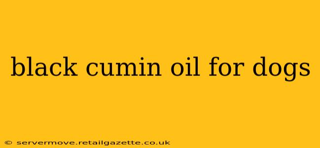 black cumin oil for dogs