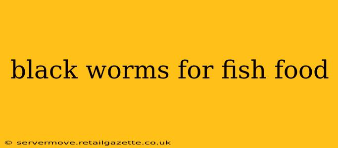 black worms for fish food