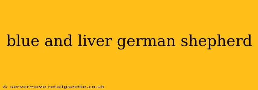 blue and liver german shepherd