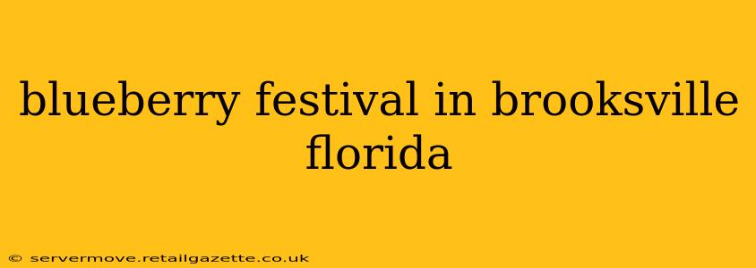 blueberry festival in brooksville florida