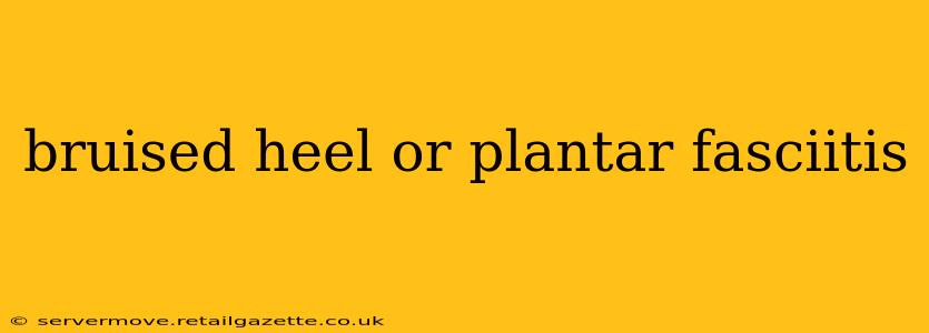 bruised heel or plantar fasciitis