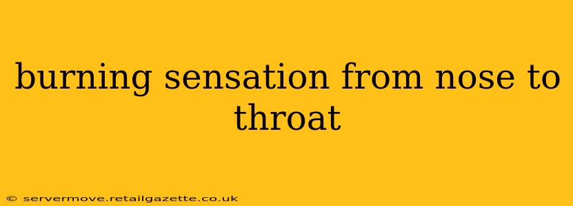 burning sensation from nose to throat