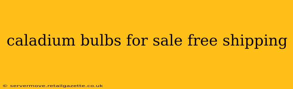 caladium bulbs for sale free shipping
