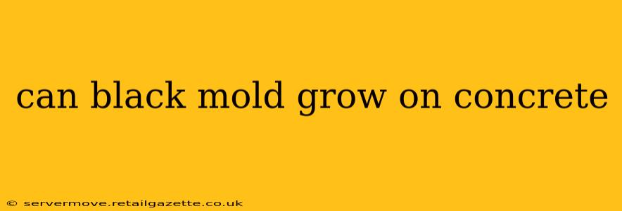 can black mold grow on concrete