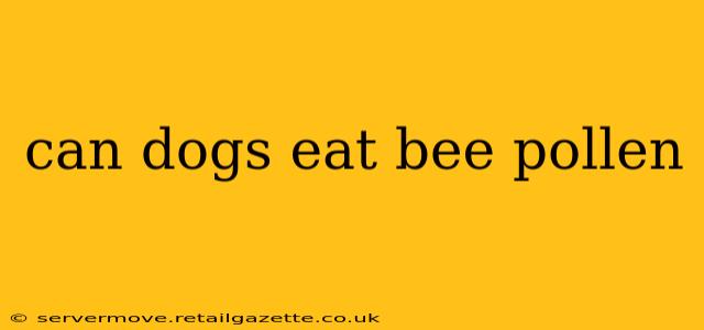 can dogs eat bee pollen
