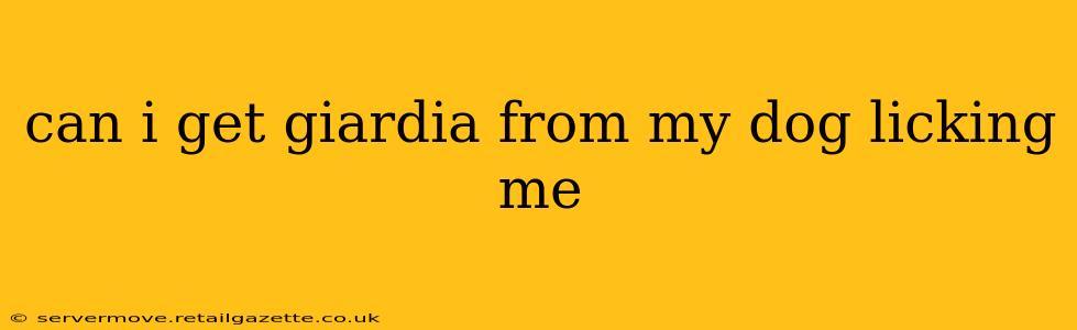 can i get giardia from my dog licking me