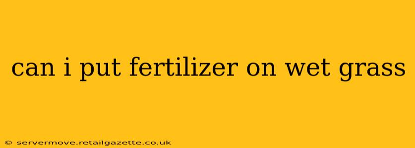 can i put fertilizer on wet grass