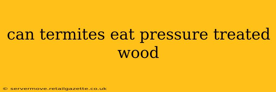 can termites eat pressure treated wood