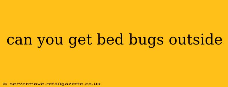 can you get bed bugs outside