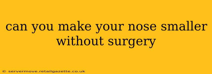 can you make your nose smaller without surgery