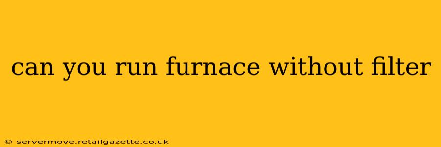 can you run furnace without filter