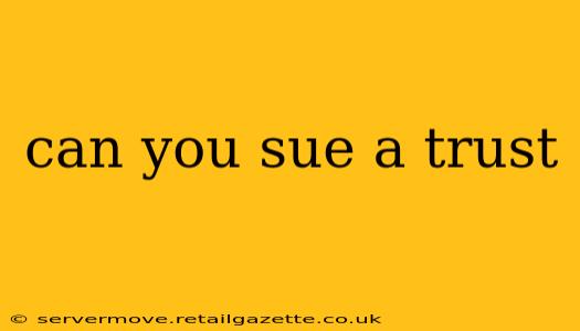 can you sue a trust