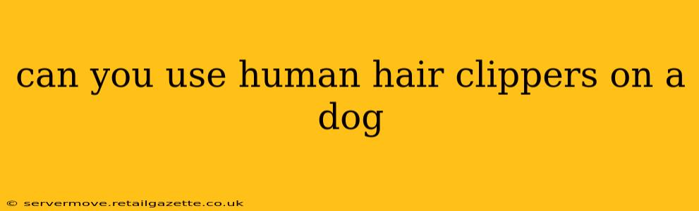 can you use human hair clippers on a dog