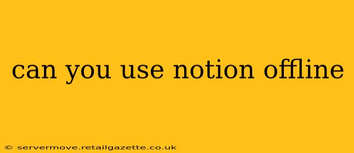 can you use notion offline