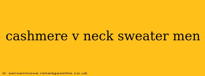 cashmere v neck sweater men