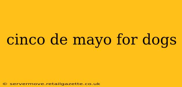 cinco de mayo for dogs