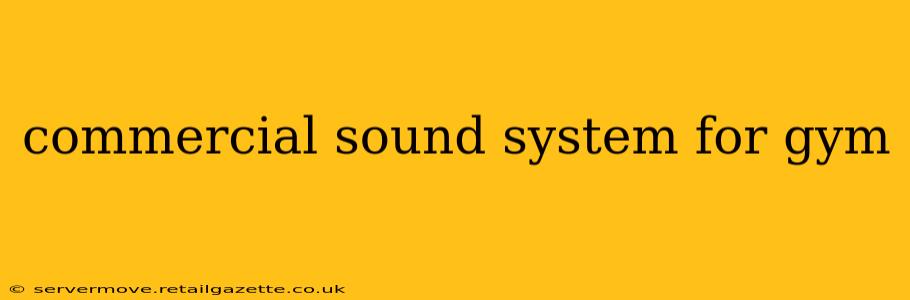 commercial sound system for gym