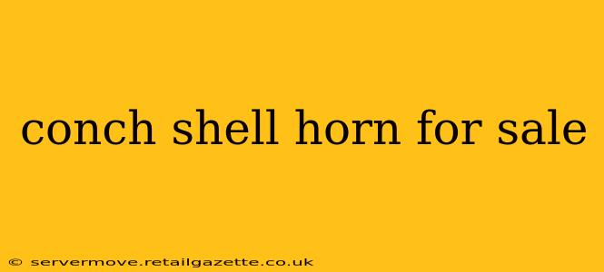 conch shell horn for sale