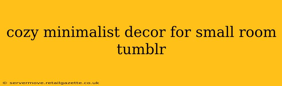 cozy minimalist decor for small room tumblr
