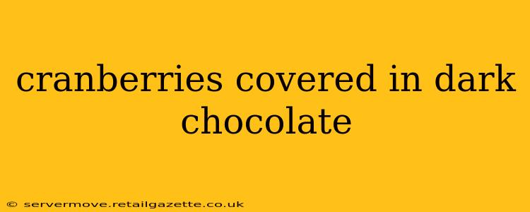 cranberries covered in dark chocolate