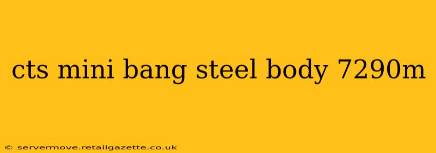cts mini bang steel body 7290m