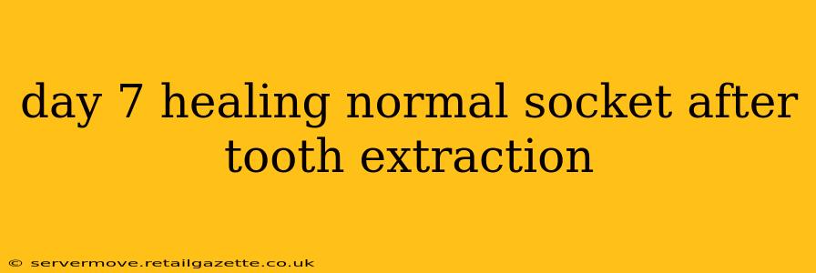 day 7 healing normal socket after tooth extraction