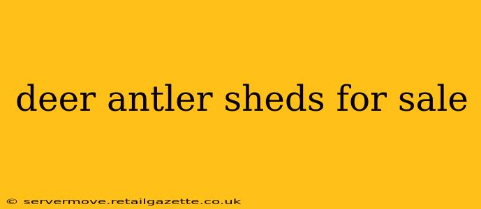 deer antler sheds for sale