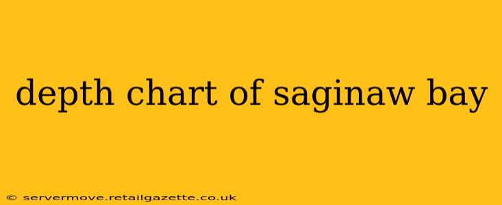 depth chart of saginaw bay