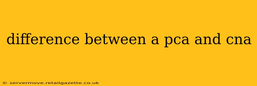 difference between a pca and cna